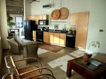 Loft-Style Apartments offers Awesome Views of Downtown Dallas.