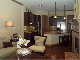 Luxury Highland Park Townhomes For Rent!